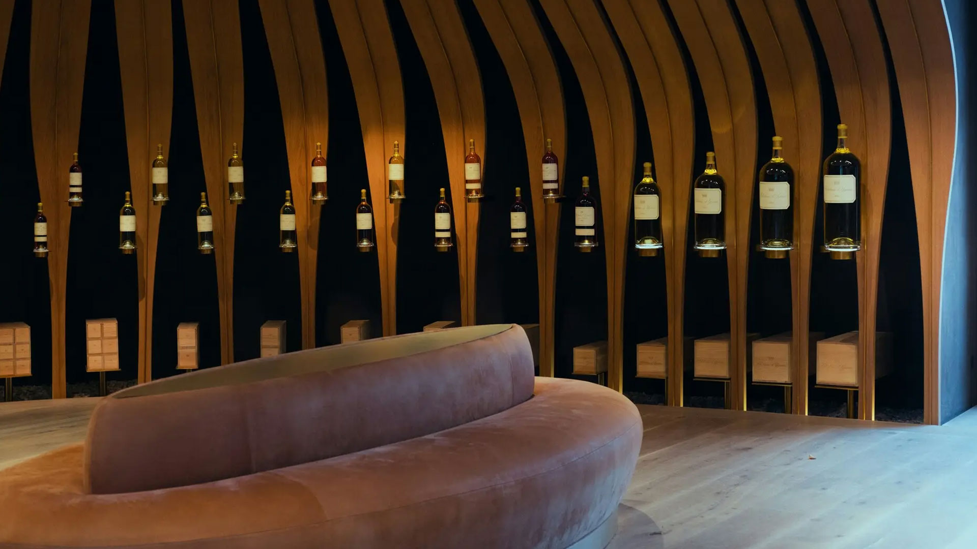 Wine Harvest Experience in Bordeaux Image 6