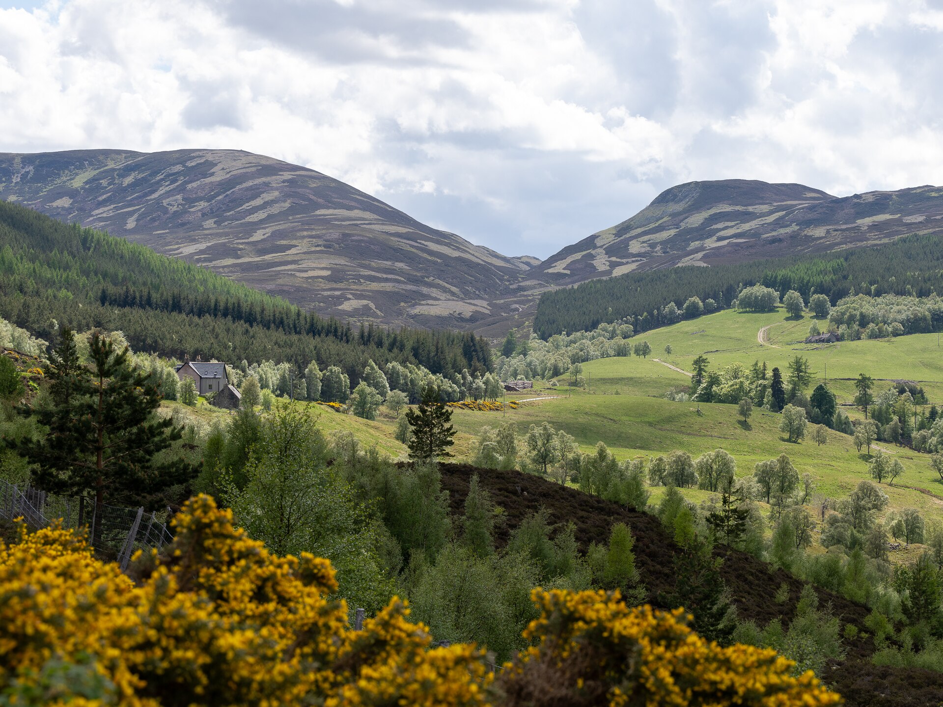 Cairngorms National Park, Scotland