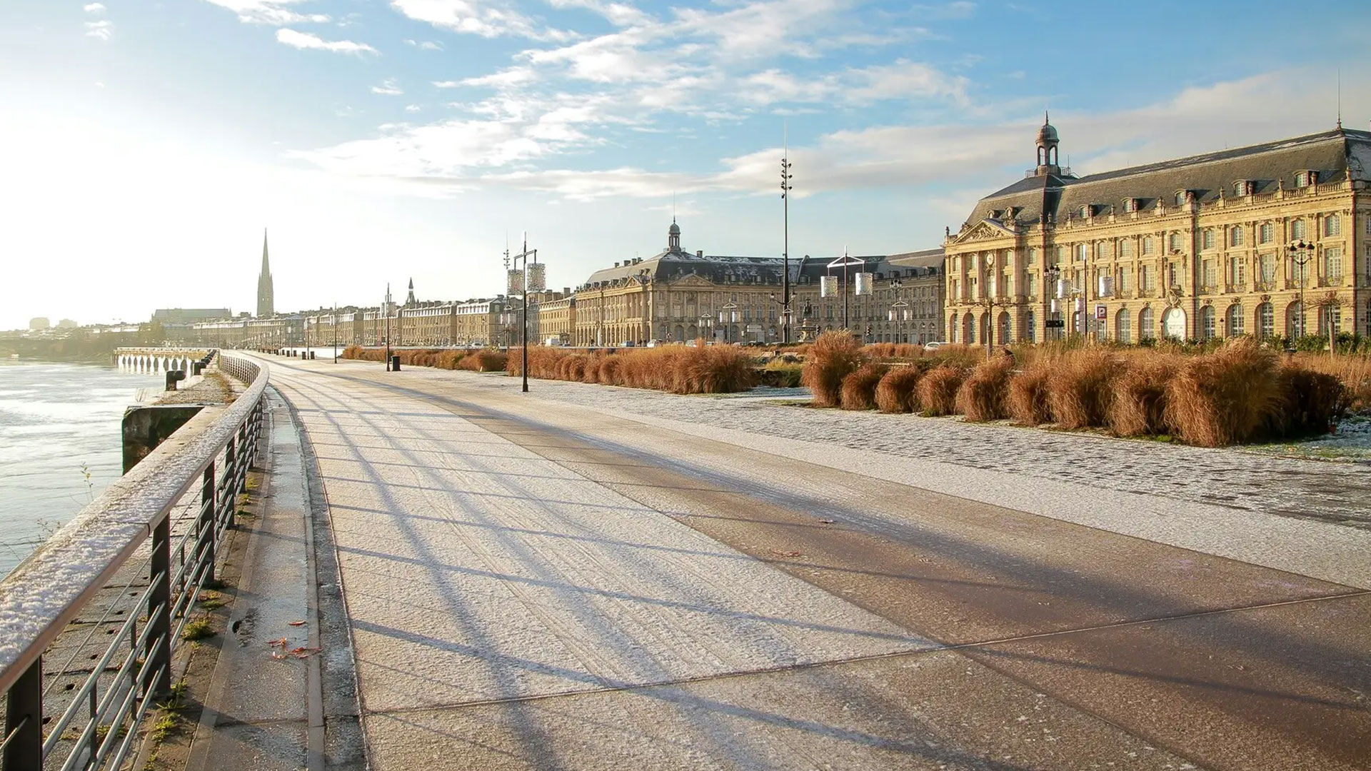 Wine Harvest Experience in Bordeaux Image 9
