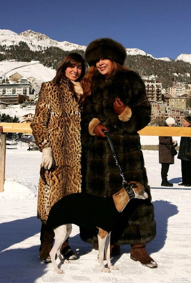 The Sport of Kings on Ice - St Moritz: Winter Polo Image 1