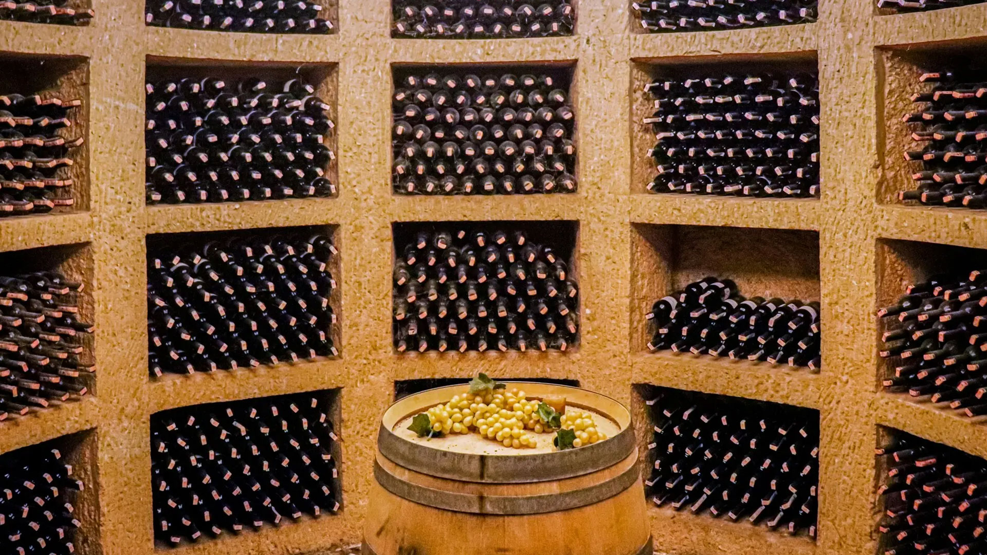 Wine Harvest Experience in Bordeaux Image 8