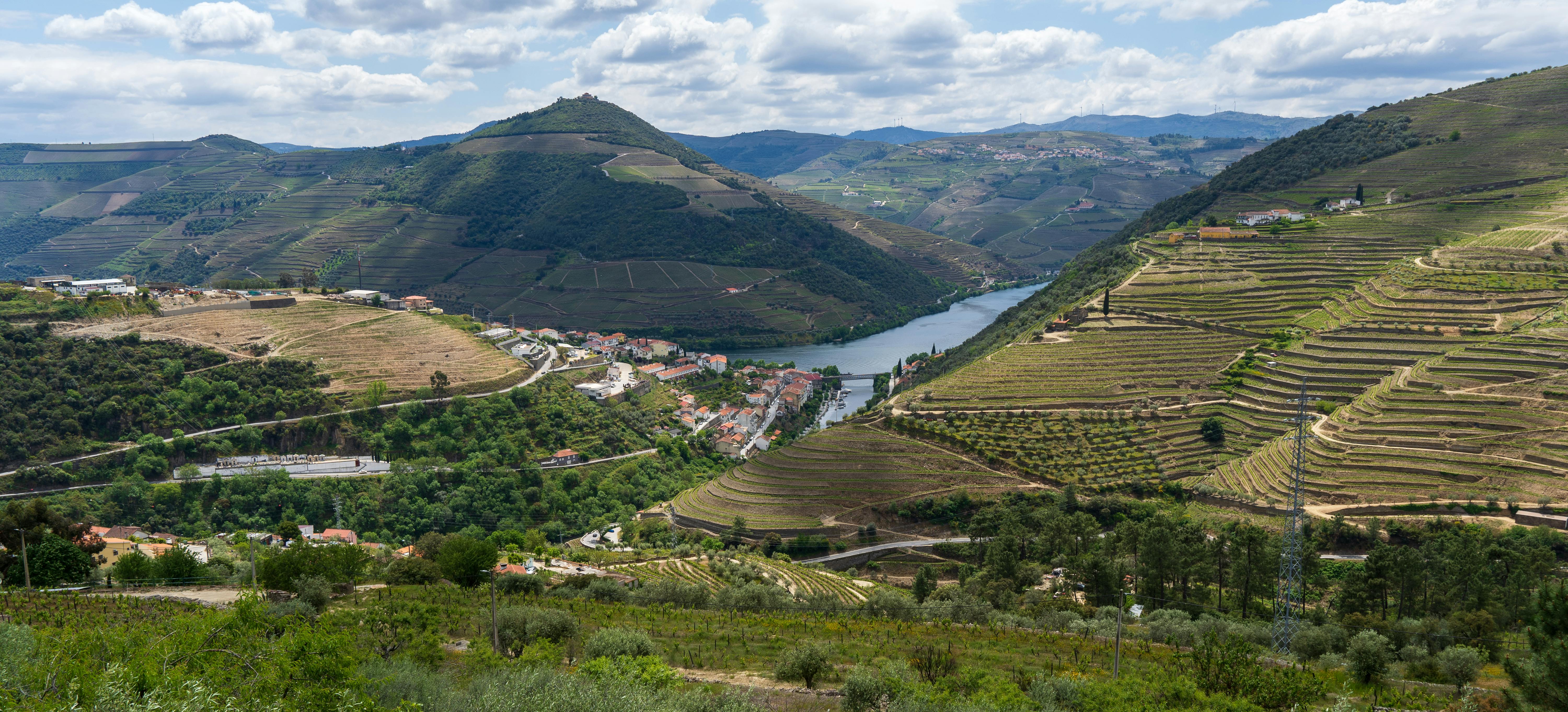 Douro Valley