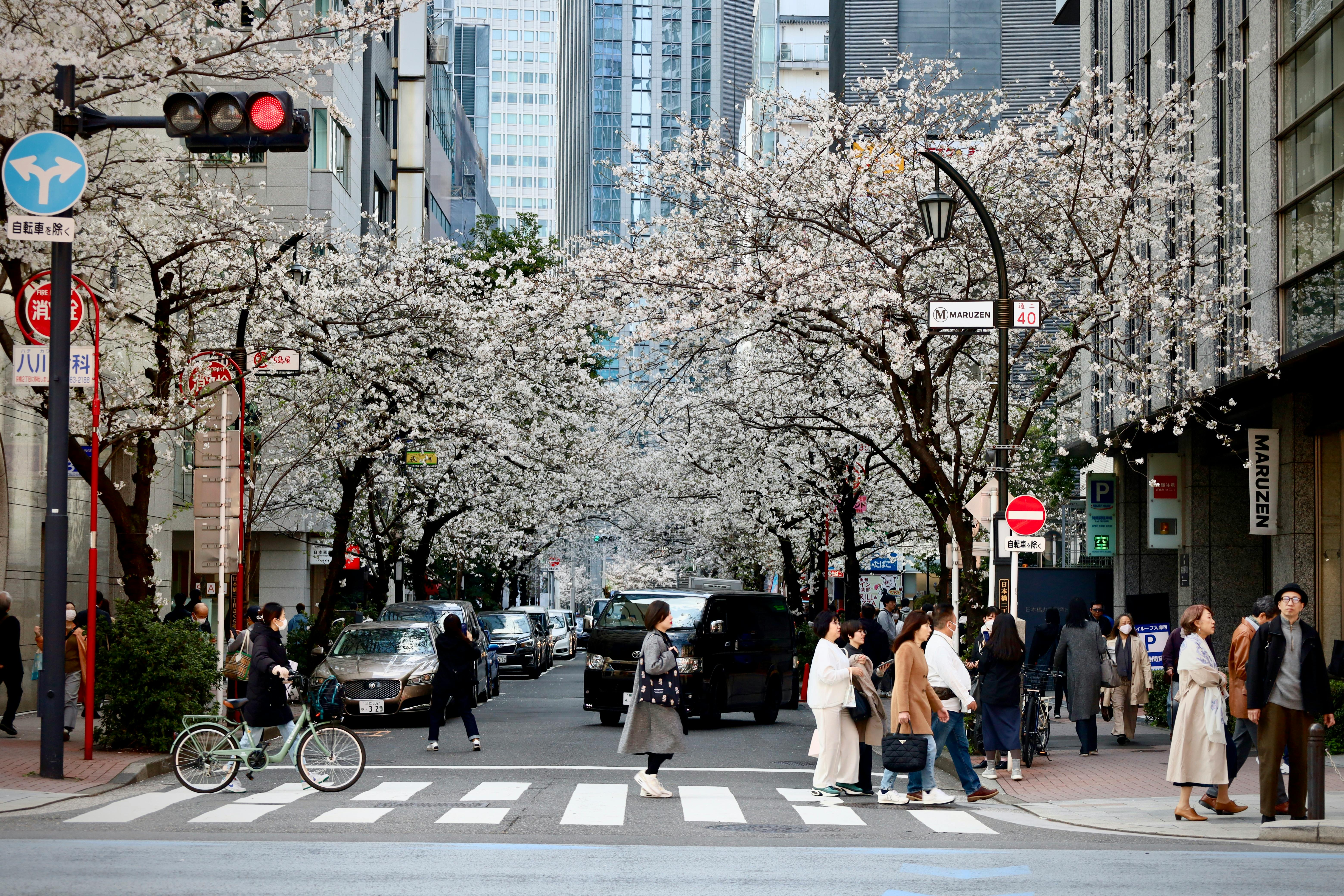 Tokyo winter day