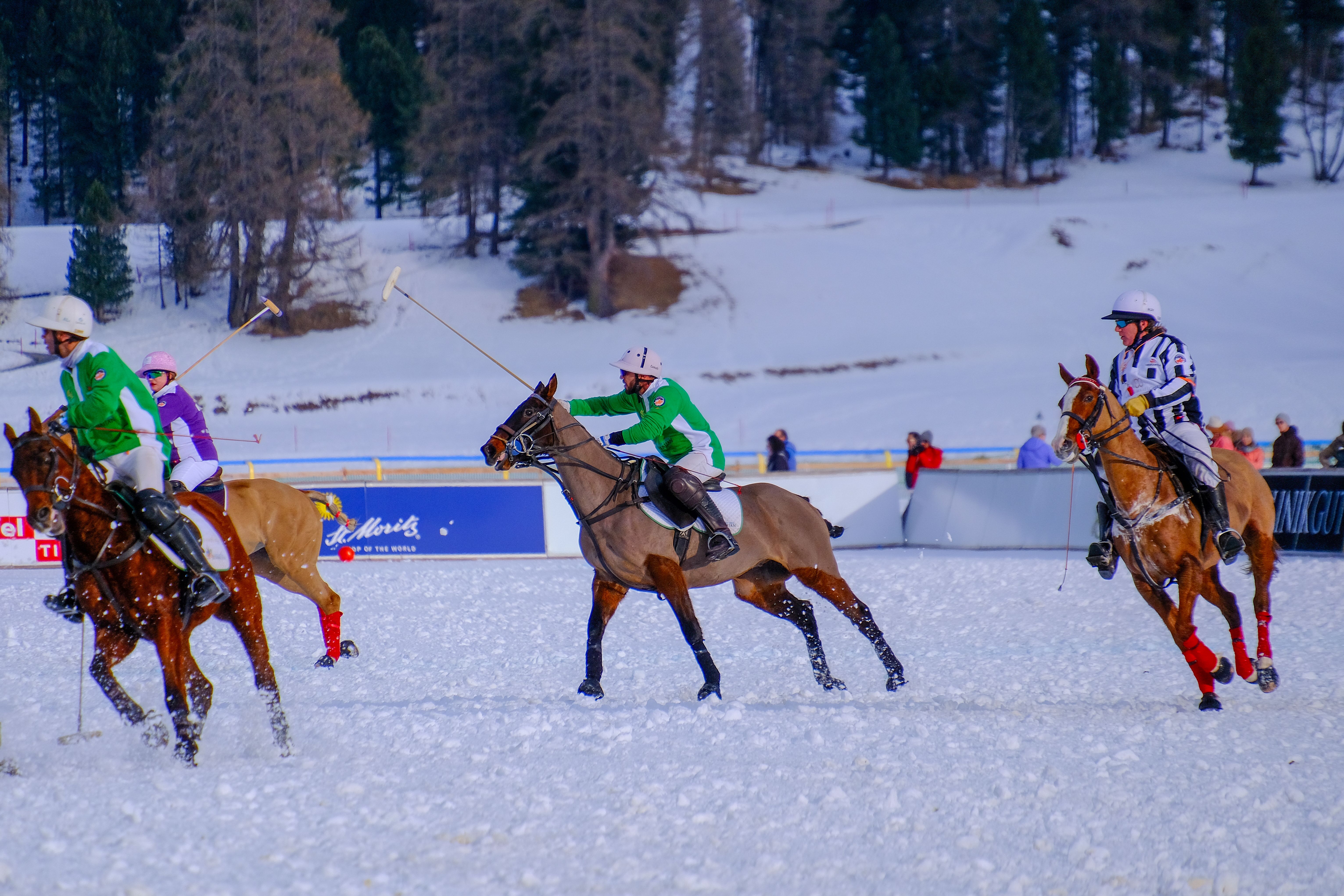 Snow polo players in action, St. Moritz