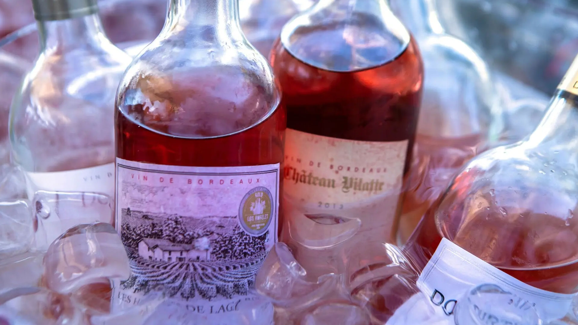 Wine Harvest Experience in Bordeaux Image 10