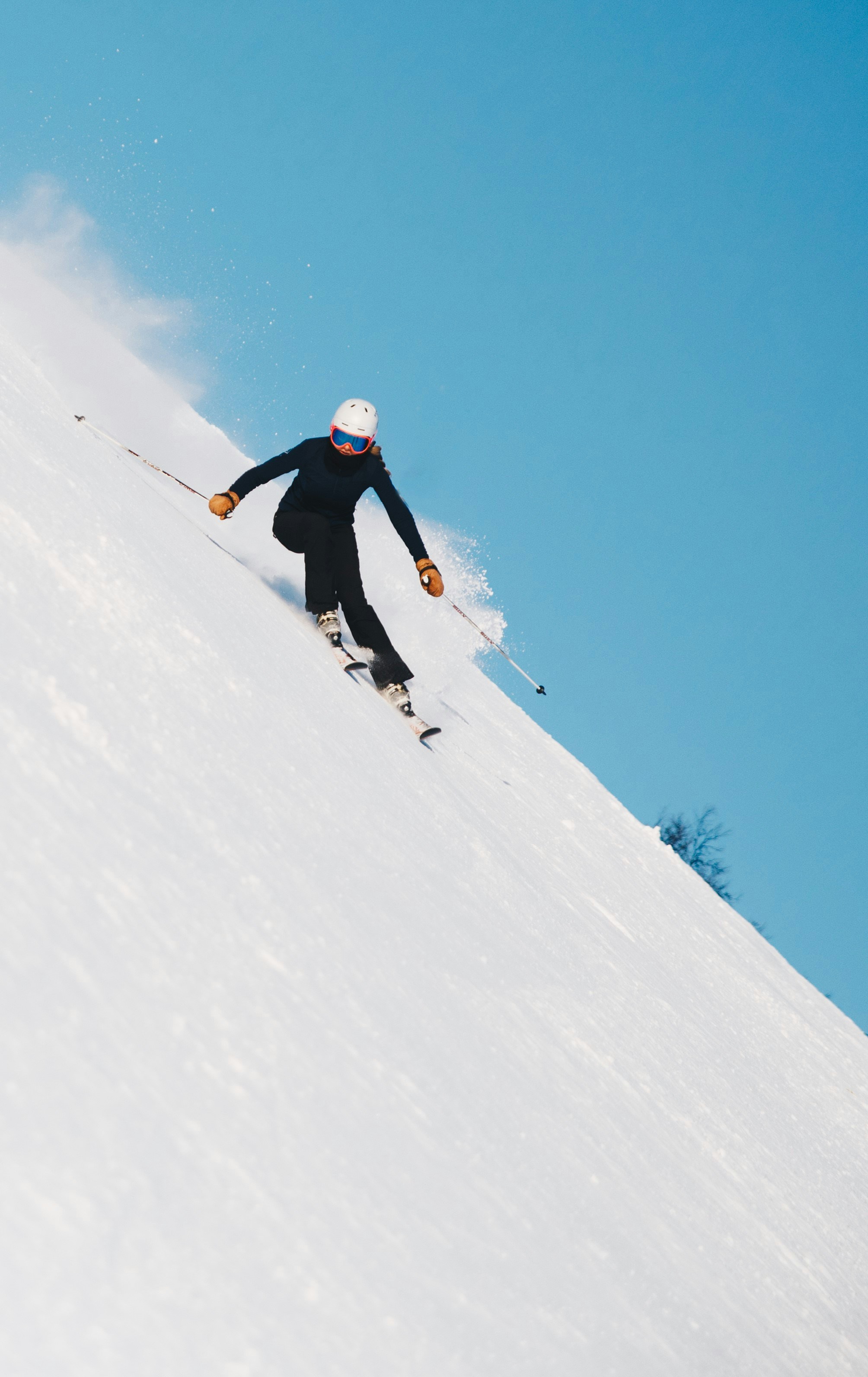 The Sport of Kings on Ice - St Moritz: Winter Polo Image 3
