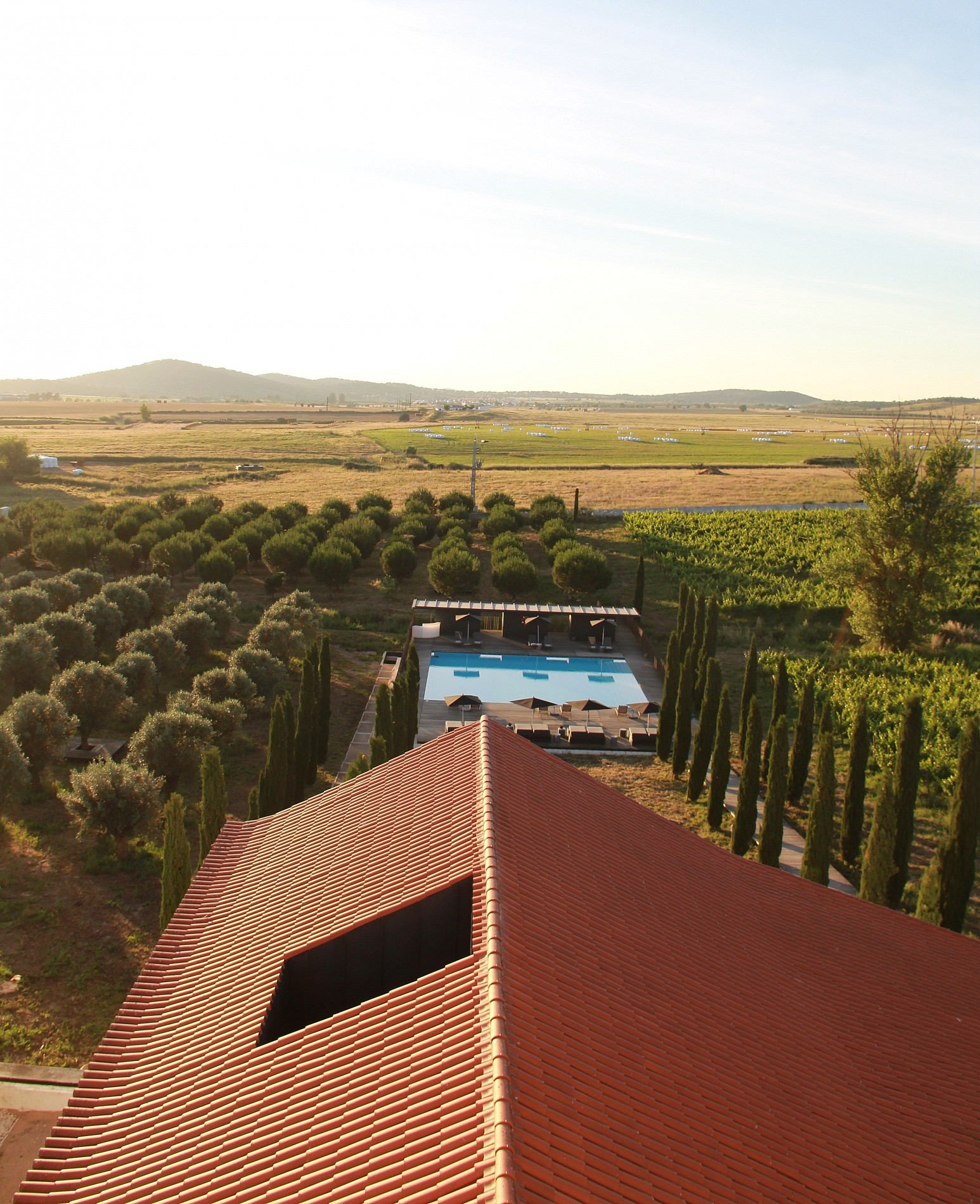 Torre de Palma Wine Hotel vineyard pool