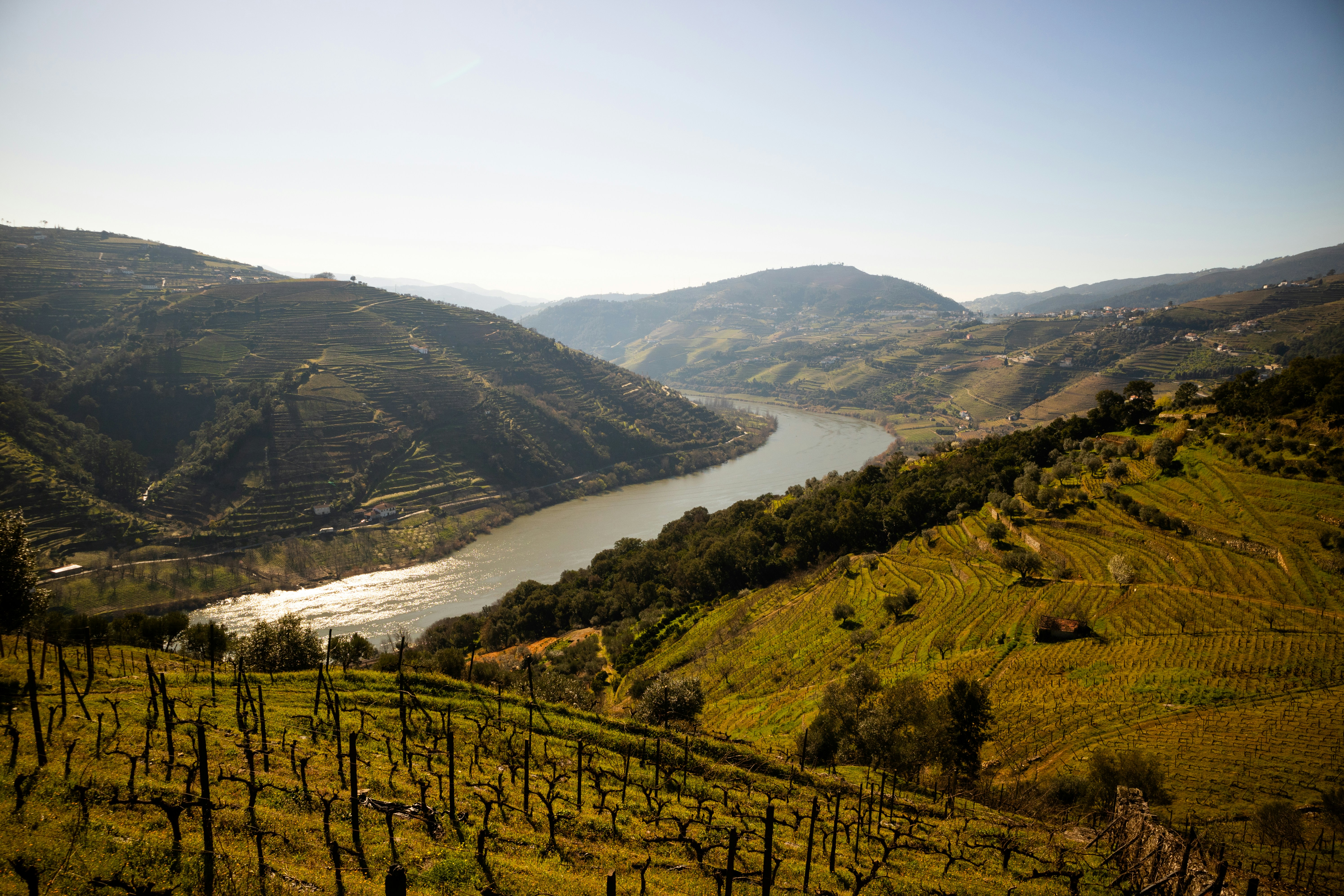Douro River Journey