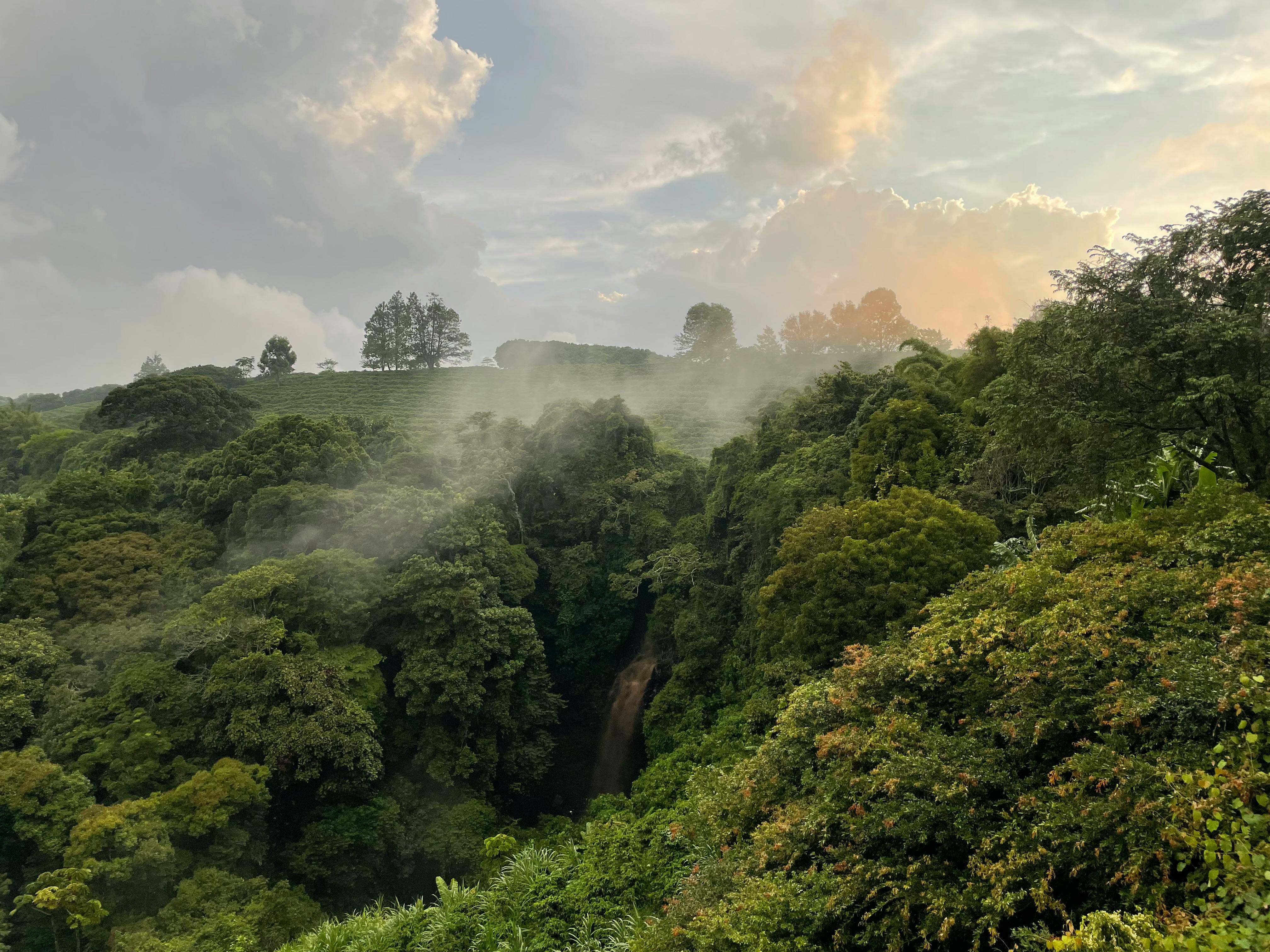 Rwanda highlands