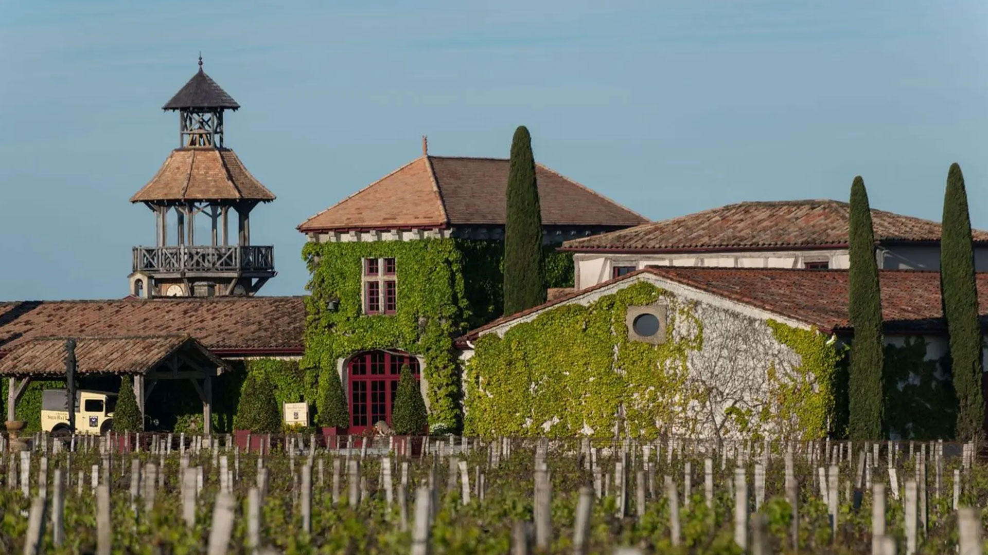 Wine Harvest Experience in Bordeaux Image 1