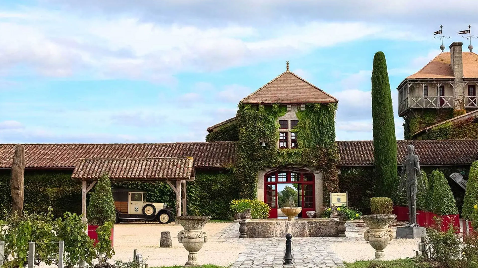 Wine Harvest Experience in Bordeaux Image 0