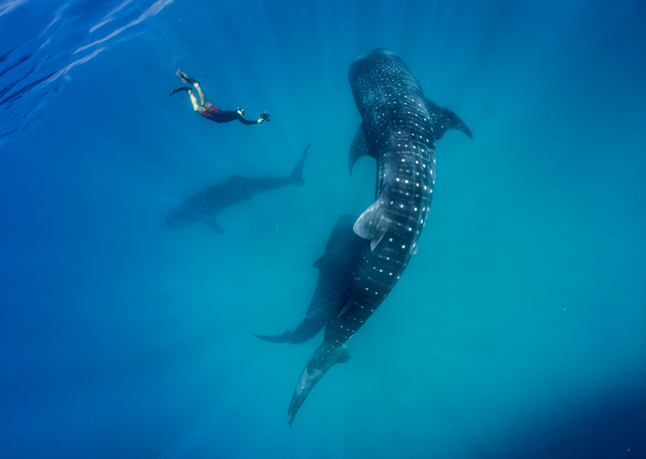 Thanda Island