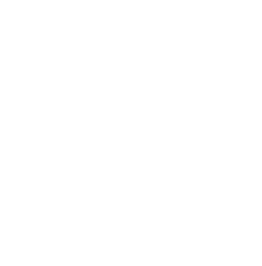 suite-collection-penguin-experience-icon