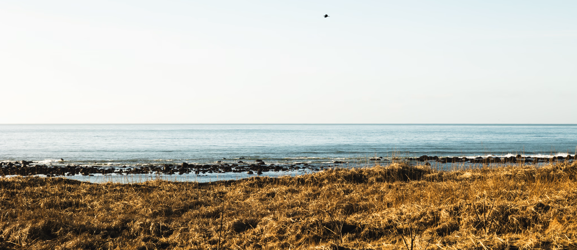 Black Sand Hotel Iceland beach view