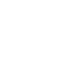 suite-collection-penguin-experience-icon