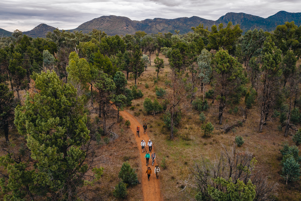 arkaba-aerial-walking-suite-collection-experiences