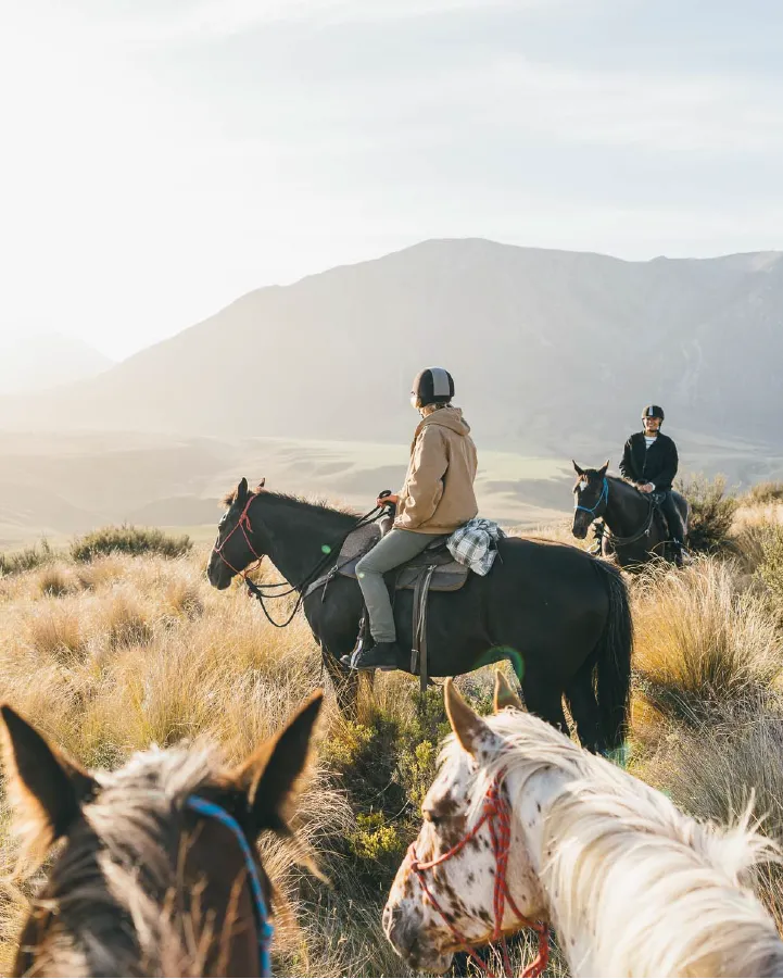 Flockhill Lodge, Craigieburn Valley